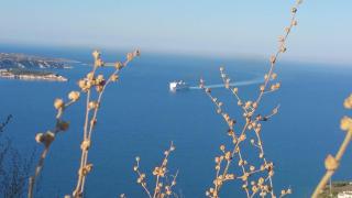 PALACE Sea view - Megála Khoráfia - 6