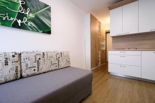 Ljubljana city studio apartment Joy Tour As with free private parking - Liubliana - 7