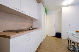 Ljubljana city studio apartment Joy Tour As with free private parking - Liubliana - 3