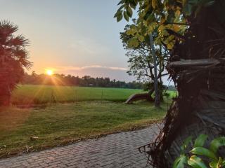Yaye Guest House - Tissamaharama - 8