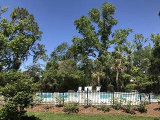 39 Night Heron - Hilton Head Island - 9