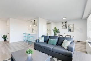 2BR Arlington Gem: Stylish & Conveniently Located - Arlington - 9