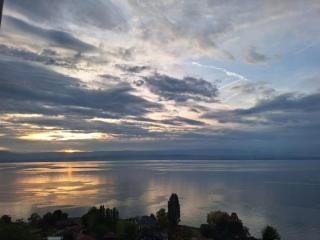 Chez Émilie, vue à 180 sur le Lac Léman - 5