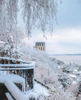 Chez Émilie, vue à 180 sur le Lac Léman - 2