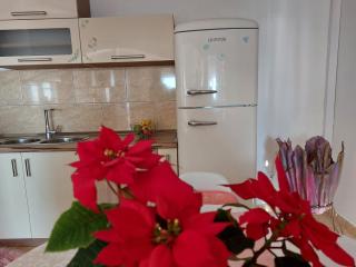 Apartments Zvonimir - Hvar - 1
