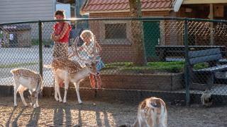 Camping de Krabbeplaat - 5