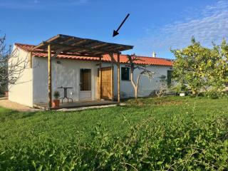 Chaleureux studio entre campagne et océan - Rogil - 9