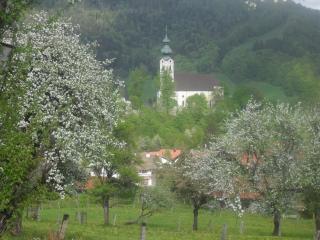 Dammerer Hof inkl. Chiemgaukarte - Ruhpolding - 1