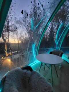 OUT & LODGE, Wigwam - Couvin - 5