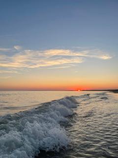 Chant des Oiseaux *** - Royan - 1