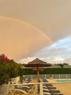 Chant des Oiseaux *** - 2