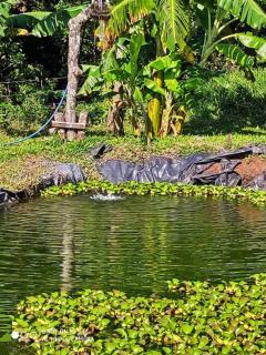 Casa Luz de Luna - 9