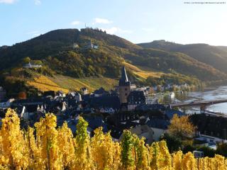 JUFA Hotel Bernkastel-Kues - Bernkastel-Kues - 3