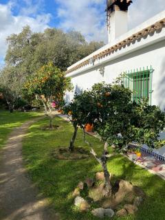 Casa Isabela - Chiclana de la Frontera - 8