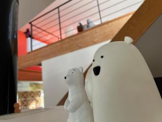 LA PATTE D'OURS 2 - 1