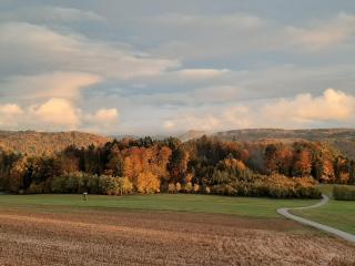 Hochsalerblick - Laufenburg - 0