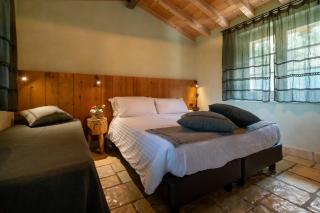 Olimagio Farm Stay with animals and 25m pool, beach at cycling distance - Pietrasanta - 7