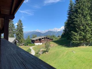Chalet le Daim appartement 6 pers Vue Mont-Blanc - Combloux - 6