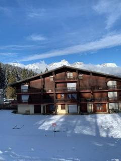 Chalet le Daim appartement 6 pers Vue Mont-Blanc - 3
