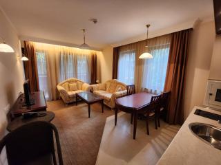 Luxury Downtown Appartment - 150m ski lift Gondola - Bansko - 4