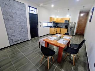 Suite Departamento Nuevo - Aguascalientes - 3