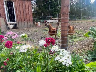 Agroturystyka Omelia - 8