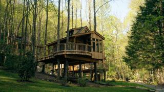 The Magnolia in Treehouse Grove at Norton Creek - Gatlinburg - 0