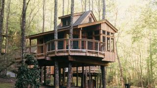 The Magnolia in Treehouse Grove at Norton Creek - Gatlinburg - 8