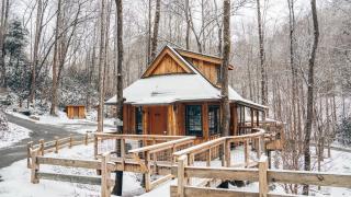 The Elm in Treehouse Grove at Norton Creek - 0