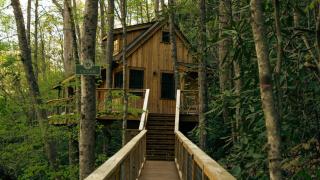 The Cedar in Treehouse Grove at Norton Creek - Gatlinburg - 6