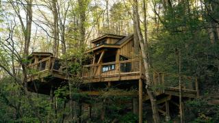 The Dogwood in Treehouse Grove at Norton Creek - Gatlinburg - 8