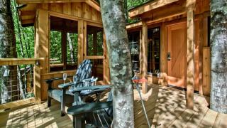 The Dogwood in Treehouse Grove at Norton Creek - Gatlinburg - 6