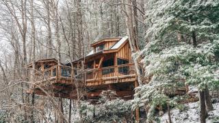 The Dogwood in Treehouse Grove at Norton Creek - 0