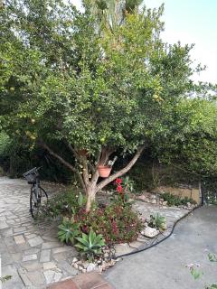 Beautiful maisonette in Protaras - 6