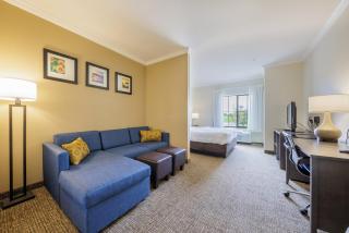 Comfort Suites Lawton Near Fort Sill - 6