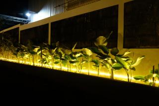 Griya Merbabu Asri Homestay (up to 14pax @ Salatiga central) - Port Elgin - 7