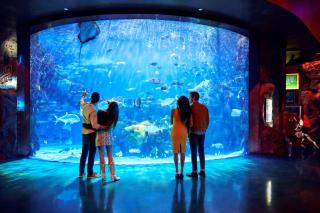 Silverton Casino Lodge - 8