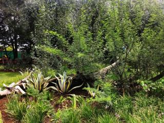 Magalies B&B SPITSKOP - Bloemfontein - 8