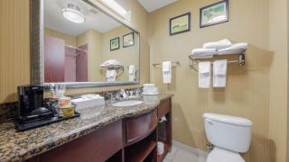 Comfort Suites Lawton Near Fort Sill - 8