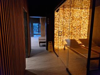 Wielka Krokiew Residence&SPA - Zakopane - JACUZZI, SAUNA, TĘŻNIA SOLANKOWA, SPA, GRILL - Zakopane - 2