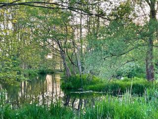 Maisonette-Apartment-mit Glassfaseranschluss - 5