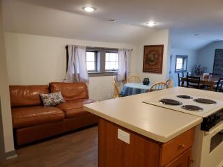 Spacious, Pet Friendly, in the Heart of Downtown - New Glarus - 7