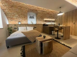 UnderStreet studio with private parking - Košice - 9