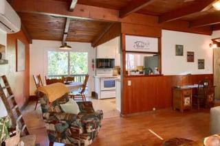 Orange Door Electric Fireplace bbq - 3