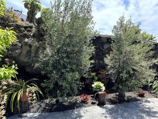 Mi Rincón - Los Llanos de Aridane - 8