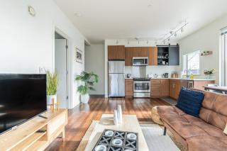 Close Downtown Modern Apartment - Pet Friendly, WiFi, Rooftop views - 8