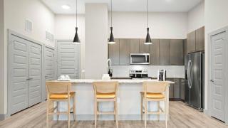 Landing Modern Apartment with Amazing Amenities (ID3691X72) - Austin - 1
