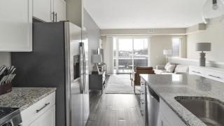 Landing Modern Apartment with Amazing Amenities (ID5350X87) - 6
