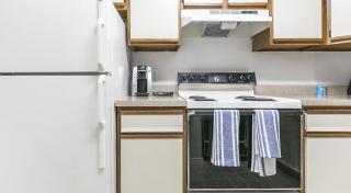 Landing Modern Apartment with Amazing Amenities (ID7025X65) - 7