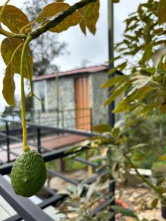 Luz de Luna Glamping - 7